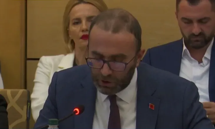 Bardhi kundër anëtarësimit sa më parë: Do bëhemi europianë kur institucionet të funksionojnë sipas standardeve të BE