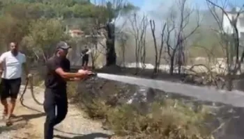 Bie zjarr pranë banesave në Kodër Krastë të Elbasanit
