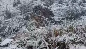 Bora e parë mbulon Bjeshkët e Nemuna, malet marrin pamje dimërore