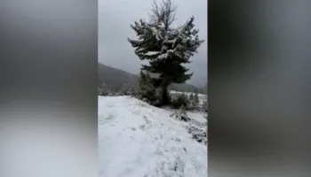 Bora mbërrin që në shtator në Shqipëri, zbardhen bjeshkët e Tropojës