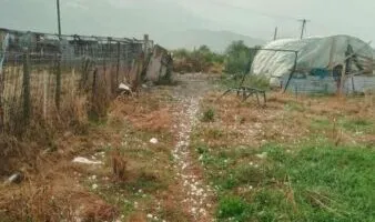 Breshër në Devoll, fermerët humbin prodhimin