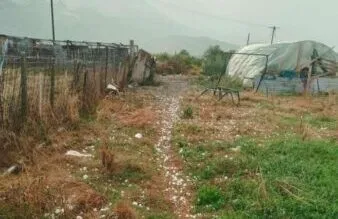 Breshër në Devoll, fermerët humbin prodhimin