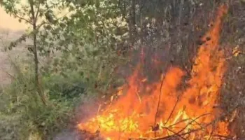 Bulqizë/ Flakët pranë banesave në Gjoricë, zjarrfikësit vënë nën kontroll zjarrin