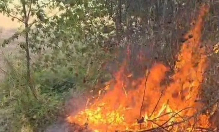 Bulqizë/ Flakët pranë banesave në Gjoricë, zjarrfikësit vënë nën kontroll zjarrin