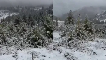 Ditë dimri, reshjet e para të dëborës zbardhin Bjeshkët e Tropojës!