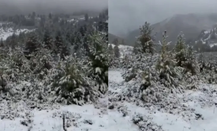 Ditë dimri, reshjet e para të dëborës zbardhin Bjeshkët e Tropojës!