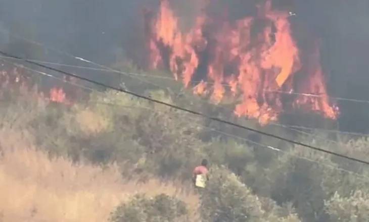 Durrës/ Zjarri përfshin sipërfaqe të mëdha në Bago, flakët afrohen pranë banesave, kërkohet ndërhyrje nga ajri (VIDEO)