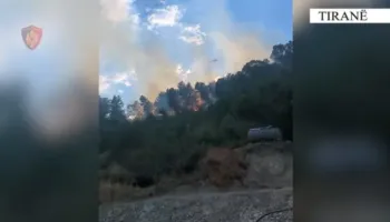 Dy të arrestuar për zjarrvënie të qëllimshme në Tiranë