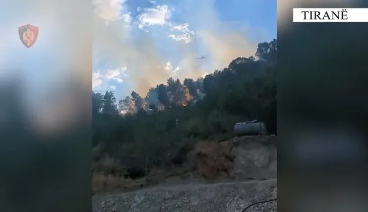 Dy të arrestuar për zjarrvënie të qëllimshme në Tiranë