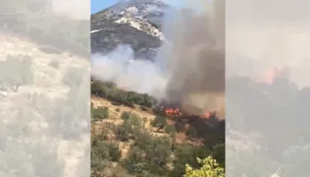 Dy vatra të tjera zjarri sot në Vlorë! Flakët përpijnë pyjet dhe bimësinë e Panajasë dhe Selenicës, aksion për shuarjen