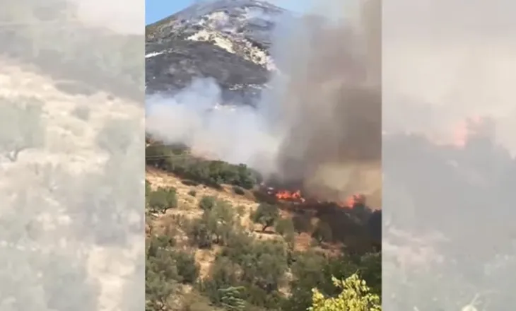 Dy vatra të tjera zjarri sot në Vlorë! Flakët përpijnë pyjet dhe bimësinë e Panajasë dhe Selenicës, aksion për shuarjen
