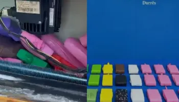 E fshehur në kontejnerin që transportonte mish pule nga Brazili, sekuestrohen 2 mln euro kokainë në Portin e Durrësit (VIDEO)