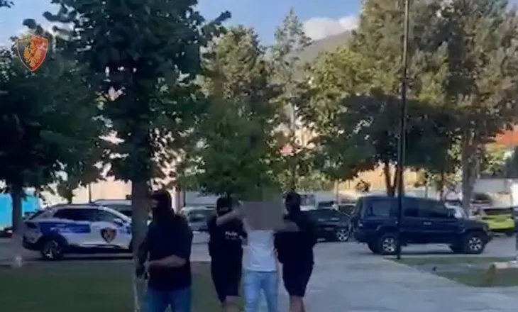 EMRAT/ Arrestohen në Itali dy shqiptarë, ja për çfarë akuzohen