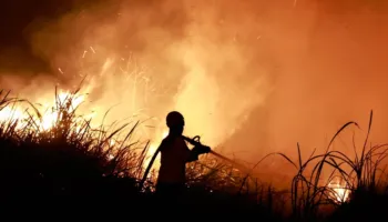 “Ferri El Niño” thyen rekordet, alarmi i shkencëtarëve: Do ketë ndikime të forta globale!