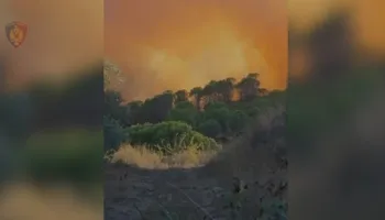Fier/ Arrestohet 31 vjeçari, shkoi të digjte mbeturinat i vuri zjarrin fshatit