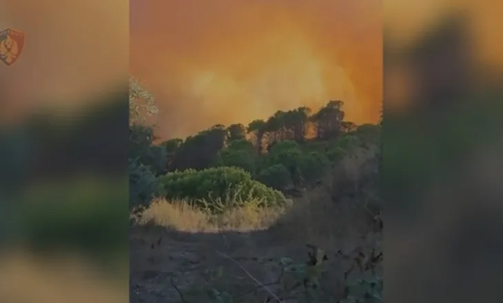 Fier/ Arrestohet 31 vjeçari, shkoi të digjte mbeturinat i vuri zjarrin fshatit