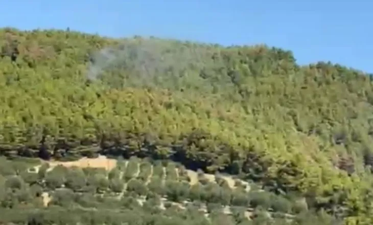 Fier/ Flakët riaktivizohen në Peshtan, banori ngre dyshime për zjarrvënie të qëllimshme