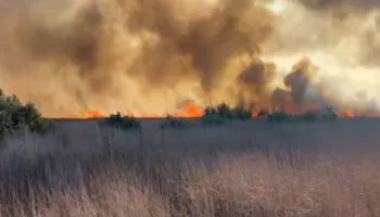 Fier/ Katër vatra zjarri në pyllin e Semanit, era favorizon flakët