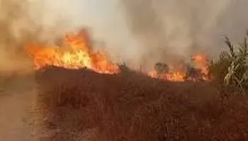 Flakët nuk ndalen në Radostinë, flet banori i zonës: Ishte një helikopter,  u dogjën lopët edhe banesat