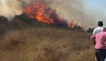Flakët përfshijnë Bagon e Kavajës, rrezikohen tre banesa/ Zjarrfikësit në aksion për shuarjen e zjarrit (VIDEO)