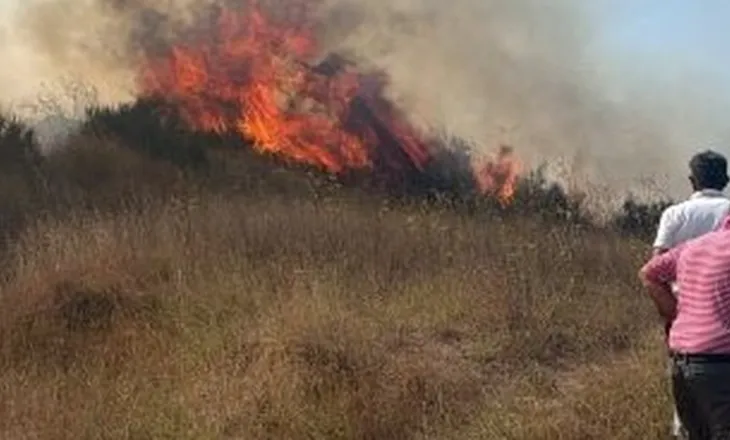 Flakët përfshijnë Bagon e Kavajës, rrezikohen tre banesa/ Zjarrfikësit në aksion për shuarjen e zjarrit (VIDEO)
