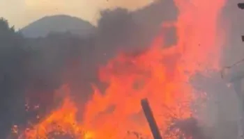 Flakët përfshijnë jugun/ Dy vatra zjarri në Vlorë e Fier, rrezikohet Apolonia