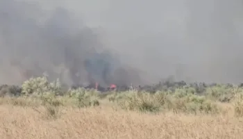 Flakët përfshijnë një stan në fshatin Akërni të Vlorës, zjarrfikësit nisen drejt vendngjarjes