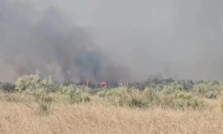 Flakët përfshijnë një stan në fshatin Akërni të Vlorës, zjarrfikësit nisen drejt vendngjarjes