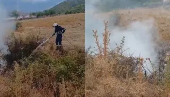 Flakët përfshijnë shkurret pranë Taroninës, zjarrfikësit neutralizojnë rrezikun