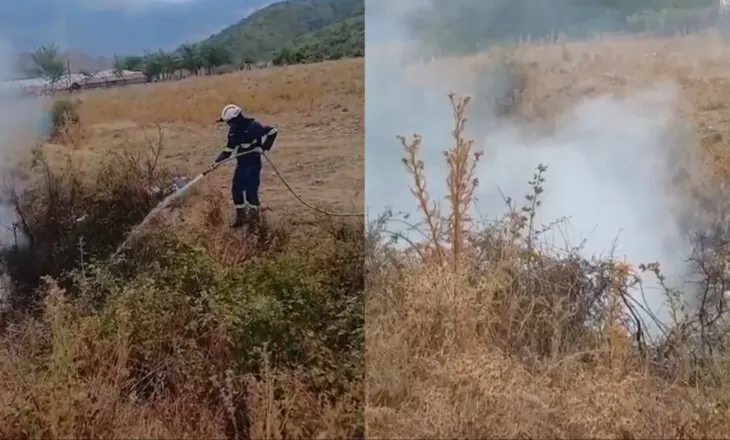 Flakët përfshijnë shkurret pranë Taroninës, zjarrfikësit neutralizojnë rrezikun