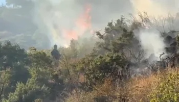 Flakët përhapen me shpejtësi në Memëlisht të Pogradecit, zjarrfikësit dhe banorët në terren për shuarjen e flakëve (VIDEO)