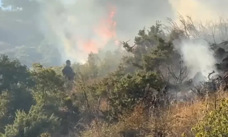 Flakët përhapen me shpejtësi në Memëlisht të Pogradecit, zjarrfikësit dhe banorët në terren për shuarjen e flakëve (VIDEO)
