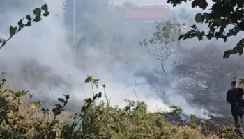 Flakët përhapen në Sektor Rinia, zjarrfikësit dhe banorët luftojnë me zjarrin