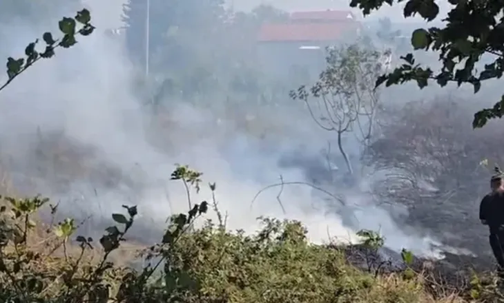 Flakët përhapen në Sektor Rinia, zjarrfikësit dhe banorët luftojnë me zjarrin