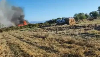 Flakët pranë banesave në Nartë/ Era e fortë përhap zjarrin në zonën e Jallisë
