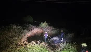 Flakët pranë stallave të lopëve në Gjirokastër, zjarrfikësit neutralizojnë zjarrin në kohë