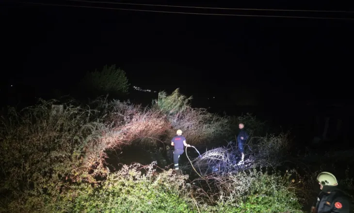 Flakët pranë stallave të lopëve në Gjirokastër, zjarrfikësit neutralizojnë zjarrin në kohë