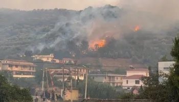 Flakët shkrumbojnë ullishtet në Fier, banorët evakuohen mes frikës për banesat