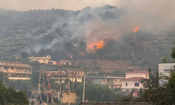 Flakët shkrumbojnë ullishtet në Fier, banorët evakuohen mes frikës për banesat