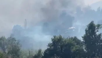 Flakët të mëdha pushtojnë Kalivaçin, era favorizon zjarrin, rrezikohet edhe zona e banuar!
