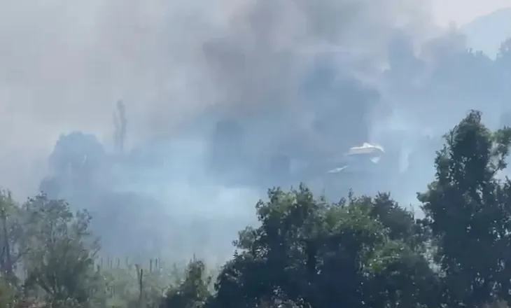 Flakët të mëdha pushtojnë Kalivaçin, era favorizon zjarrin, rrezikohet edhe zona e banuar!