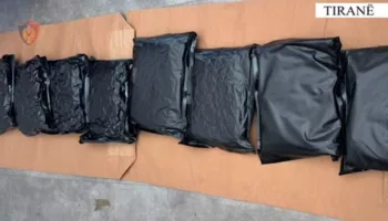 FOTO/ Trafik droge me postë nga SHBA, kapen rreth 5 kilogramë e cilësisë së lartë me THC! Në pranga 20-vjeçari në Bathore, detajet e hetimit