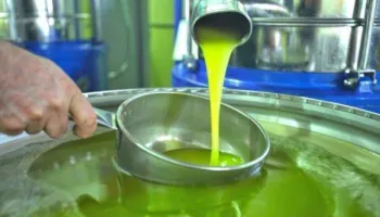 Garancia Sovrane mbështet zgjerimin e prodhimit dhe eksporteve të vajit të ullirit në Elbasan