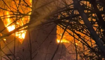 Gjirokastër/ Flakët afrohen pranë Picarit, zjarrfikësit shtojnë forcat për të mbrojtur banesat