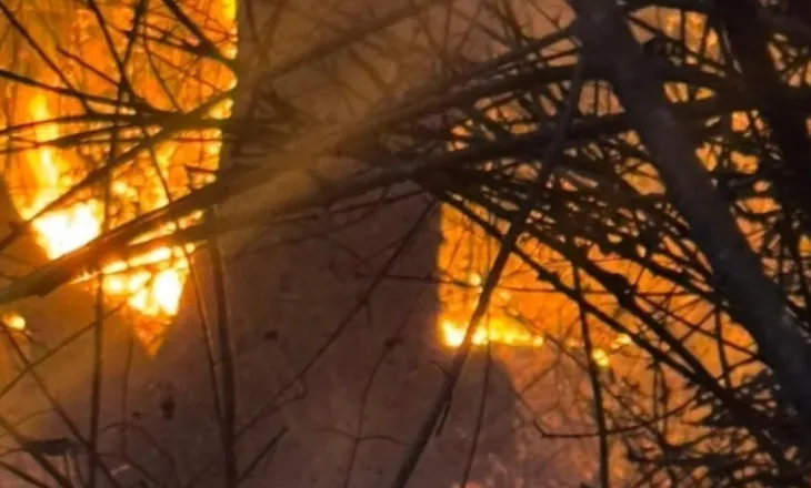 Gjirokastër/ Flakët afrohen pranë Picarit, zjarrfikësit shtojnë forcat për të mbrojtur banesat
