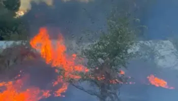Gjirokastër/ Neutralizohet zjarri pranë Liqenit të Viroit pasi dogji sipërfaqe të konsiderueshme