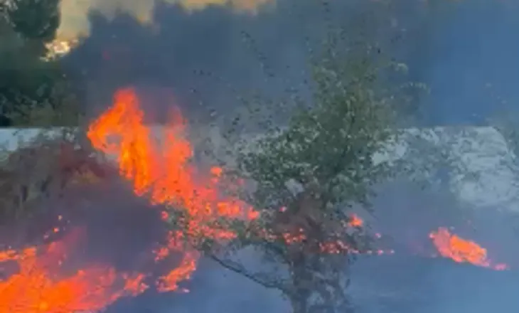 Gjirokastër/ Neutralizohet zjarri pranë Liqenit të Viroit pasi dogji sipërfaqe të konsiderueshme