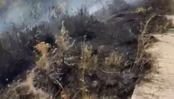 Gjirokastër/ Vatër zjarri në Kllëz, flakët përfshijnë sipërfaqen pranë fshatit