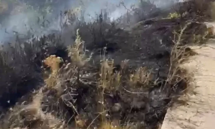 Gjirokastër/ Vatër zjarri në Kllëz, flakët përfshijnë sipërfaqen pranë fshatit
