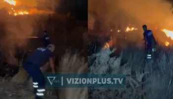 Gjirokastër, zjarri i qëllimshëm përfshin një sipërfaqe bujqësore